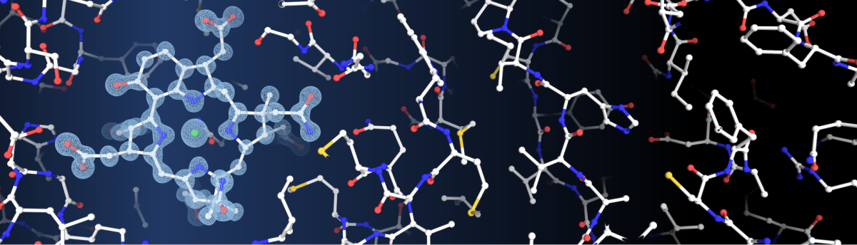 Schematic drawing of the enzyme