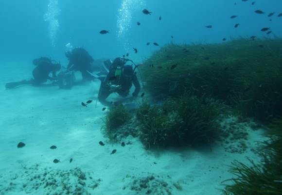 Sampling gutless oligochaetes on Elba