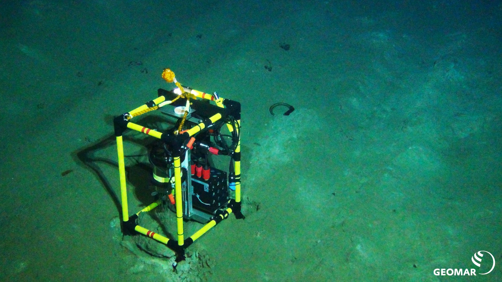 Respiration measurements directly next to a plough track as a measure of seafloor microbial activity in the DISCOL area during the SO242 expedition. Even 26 years after being disturbed by a harrow, the plough marks on the seafloor are still clearly visible (Source: ROV team/GEOMAR)